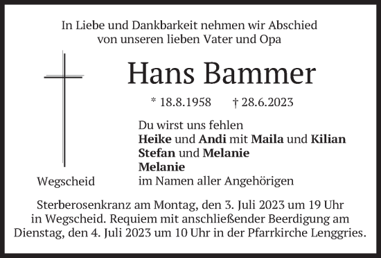 Traueranzeige von Hans Bammer von merkurtz