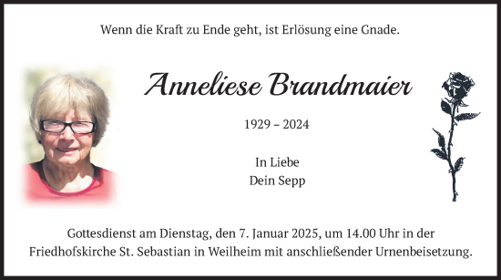 Traueranzeige von Anneliese Brandmaier von merkurtz